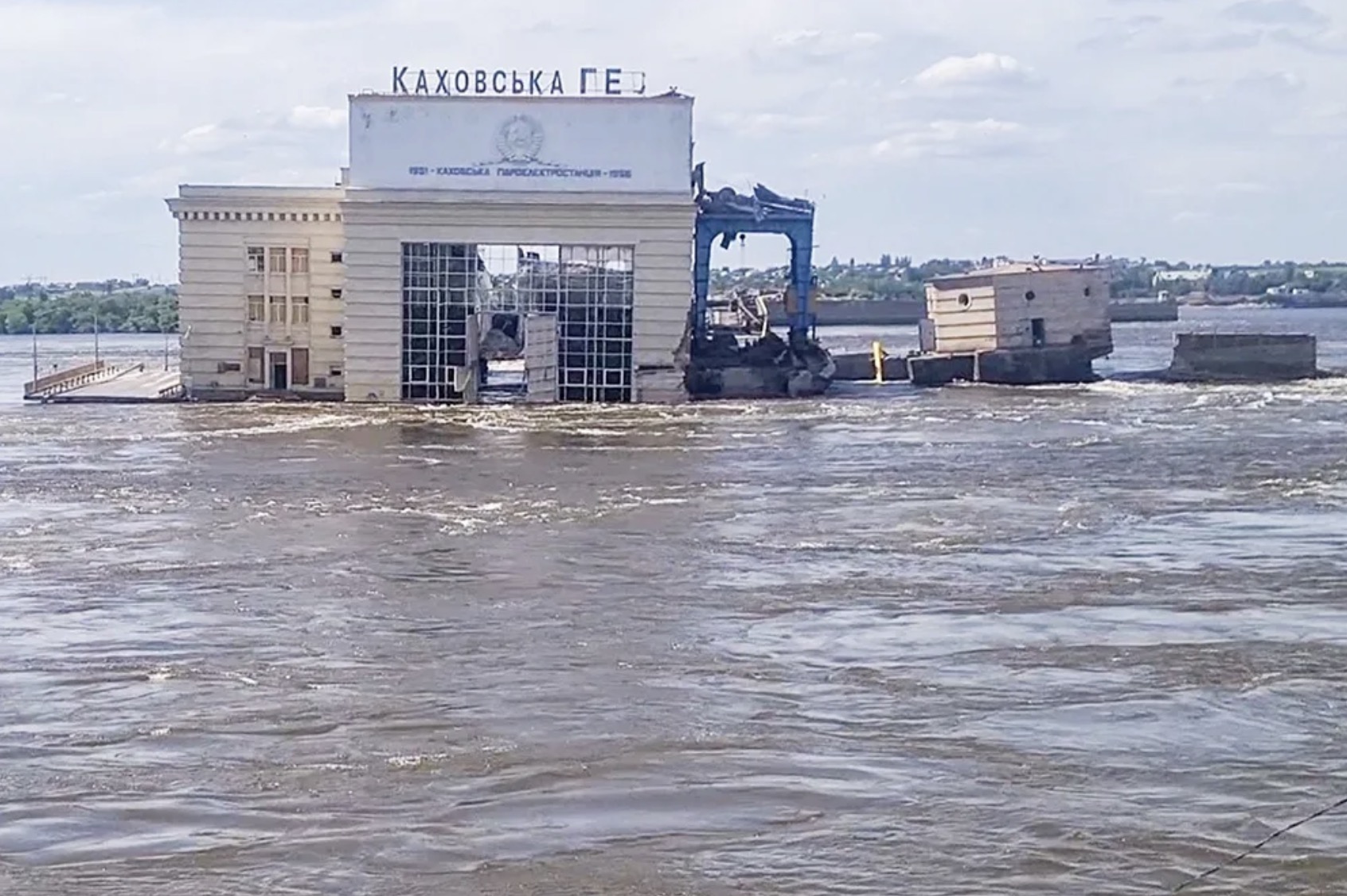 Дно Каховского водохранилища за год превратилось в настоящий вербовый лес